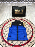 The North Face Blue 700 Down Vest