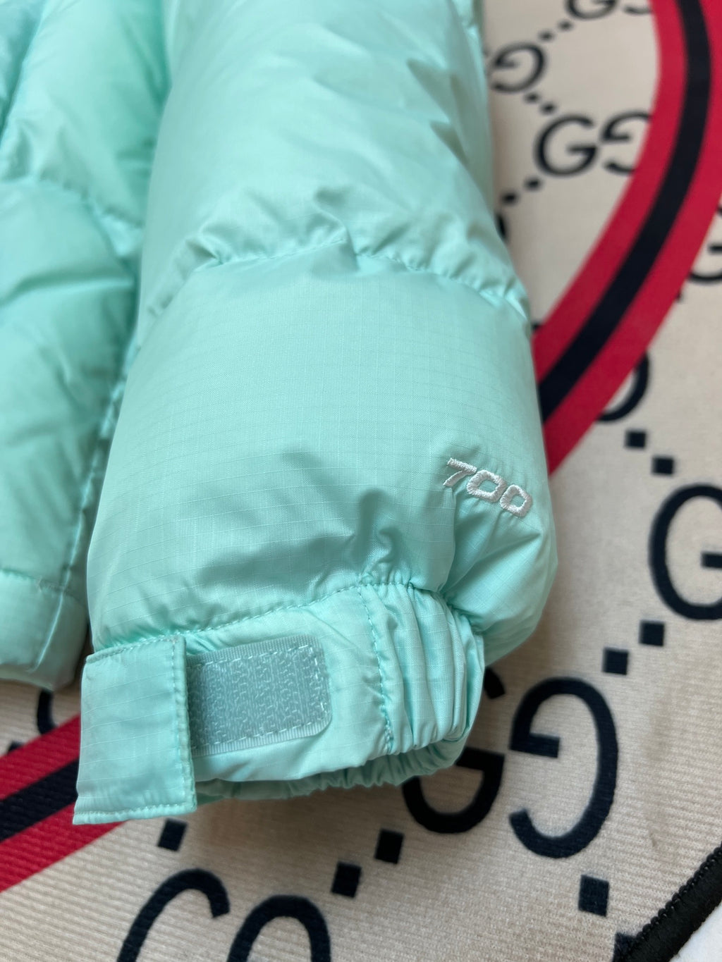 The North Face Mint Green & Black Nuptse 700-Fill Hooded Down Jacket